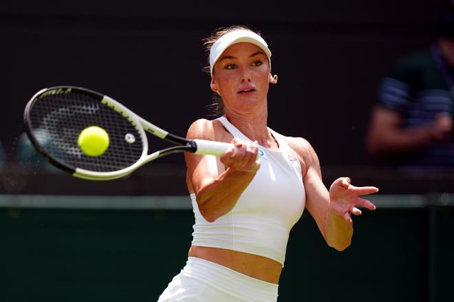 巧和稳健的 巧和稳健的