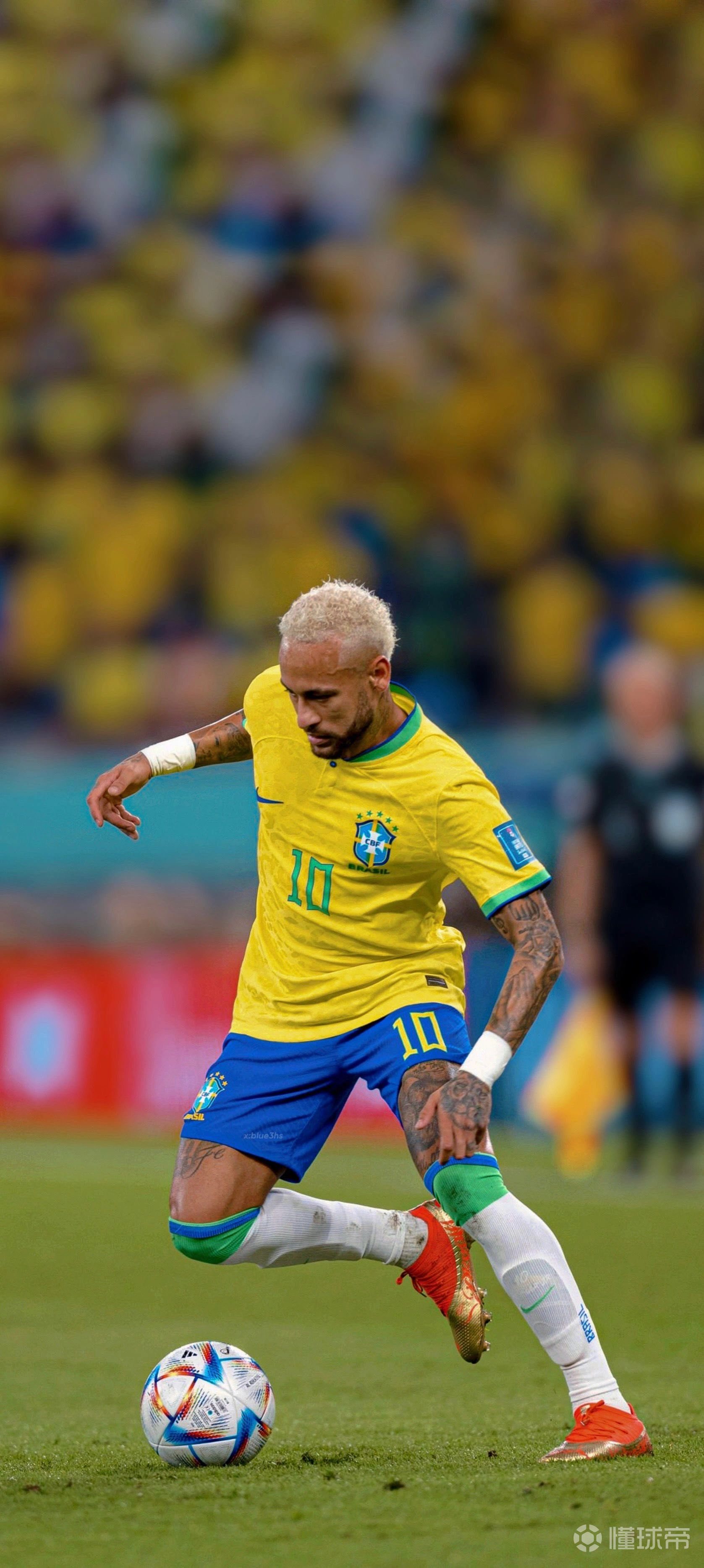 的肌肉记忆 的肌肉记忆