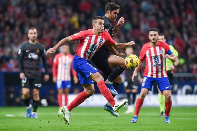 项决定的内